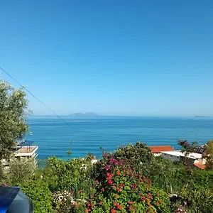 Aaron 1 Vlore